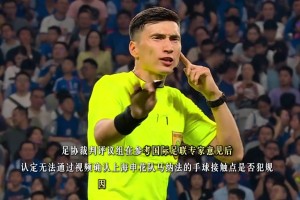足协评议:参考国际足联裁判专家意见，支持马纳法不是手球的判罚
